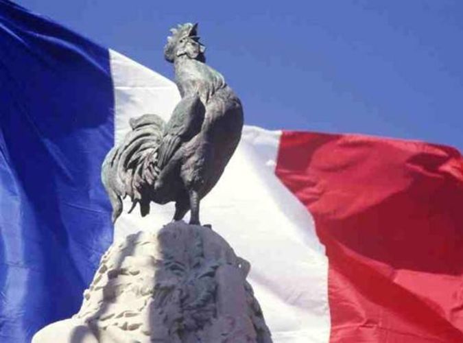 drapeau et coq français