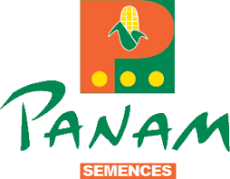 logo panam